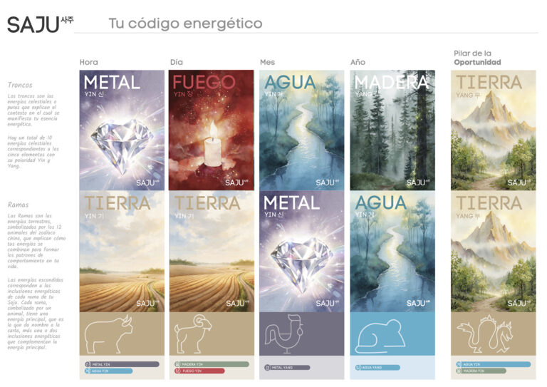 IMATGES SAJU_WEB.007